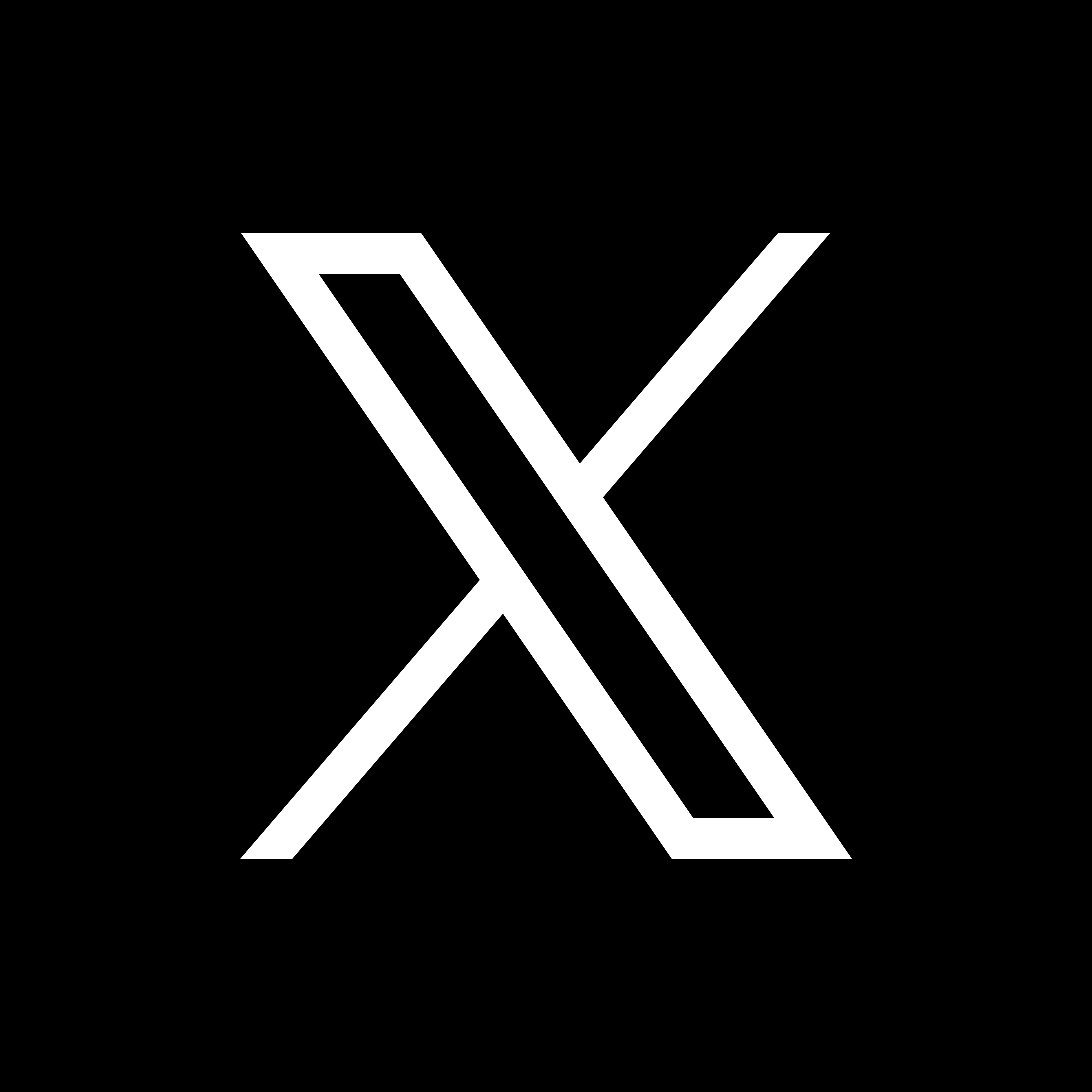 Twitter (X) Accounts | Aged 2023