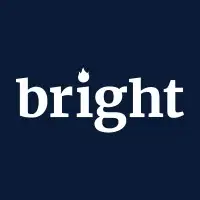 BrightData Credits $250